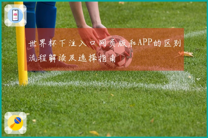 世界杯下注入口网页版和APP的区别流程解读及选择指南