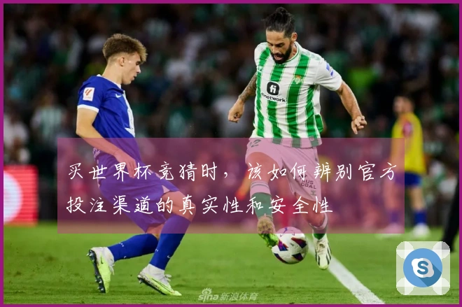 买世界杯竞猜时，该如何辨别官方投注渠道的真实性和安全性