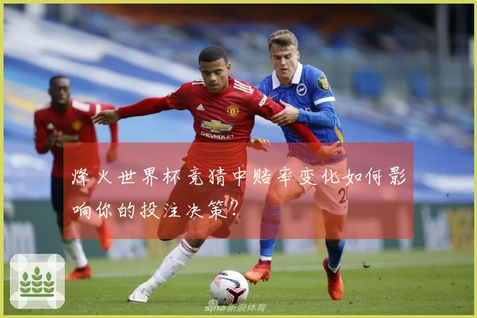 烽火世界杯竞猜中赔率变化如何影响你的投注决策？