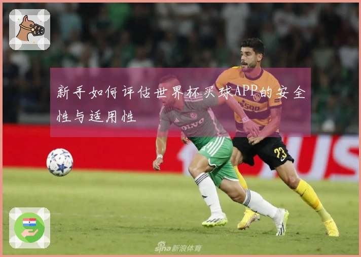 新手如何评估世界杯买球APP的安全性与适用性