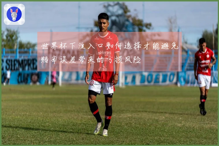 世界杯下注入口如何选择才能避免赔率误差带来的亏损风险