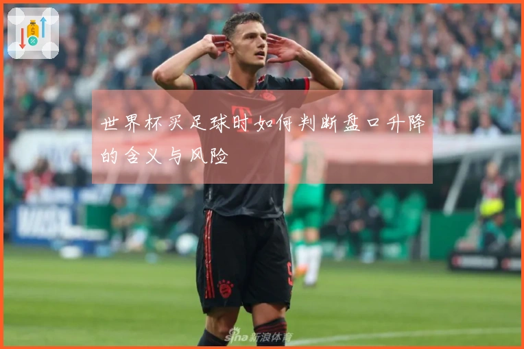 世界杯买足球时如何判断盘口升降的含义与风险