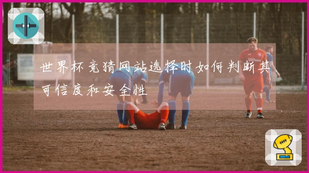 世界杯竞猜网站选择时如何判断其可信度和安全性