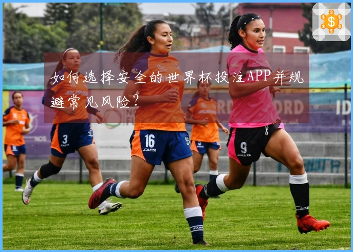 如何选择安全的世界杯投注APP并规避常见风险？