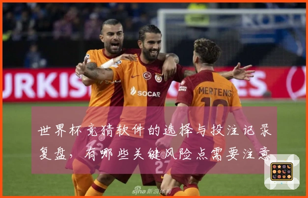 世界杯竞猜软件的选择与投注记录复盘，有哪些关键风险点需要注意？