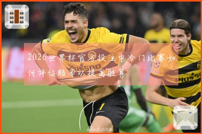 2026世界杯官方投注中冷门比赛如何评估赔率以提高胜算