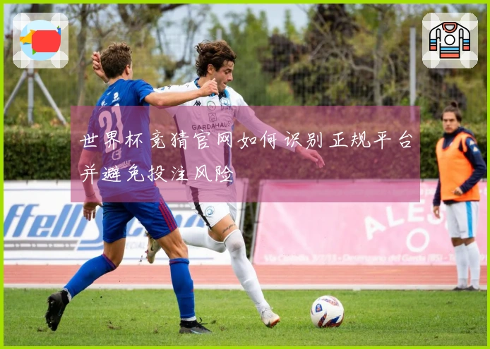 世界杯竞猜官网如何识别正规平台并避免投注风险