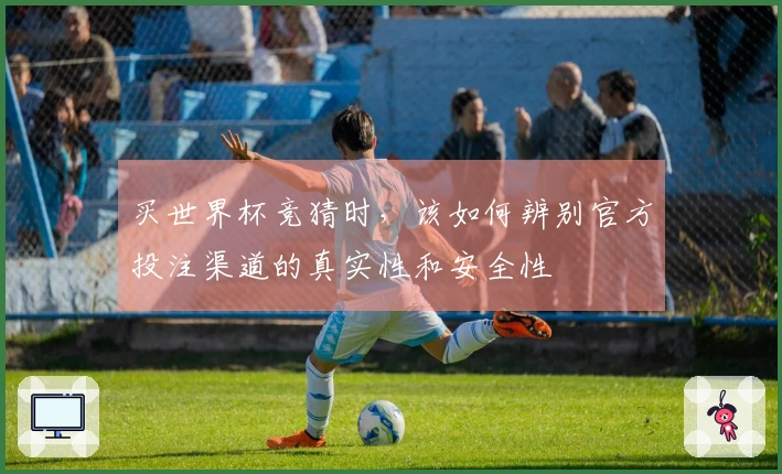 买世界杯竞猜时，该如何辨别官方投注渠道的真实性和安全性