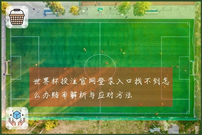 世界杯投注官网登录入口找不到怎么办赔率解析与应对方法
