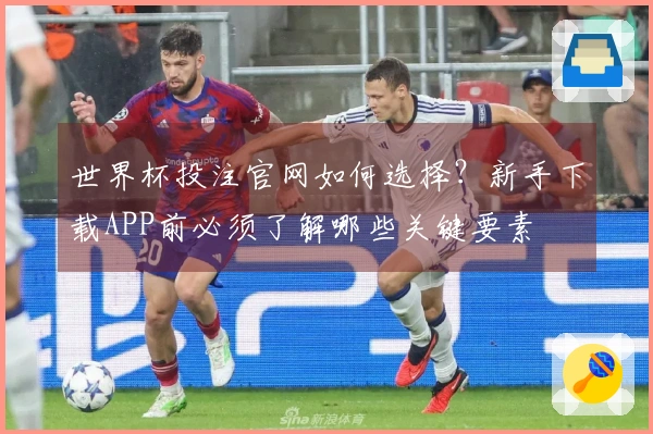 世界杯投注官网如何选择？新手下载APP前必须了解哪些关键要素
