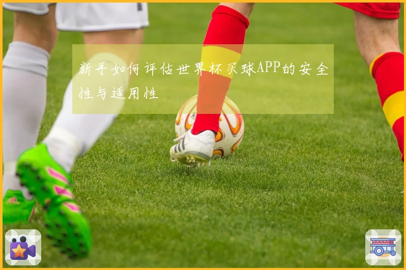 新手如何评估世界杯买球APP的安全性与适用性