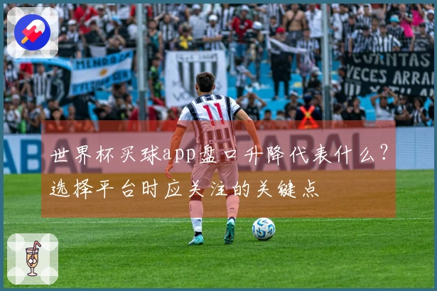 世界杯买球app盘口升降代表什么？选择平台时应关注的关键点