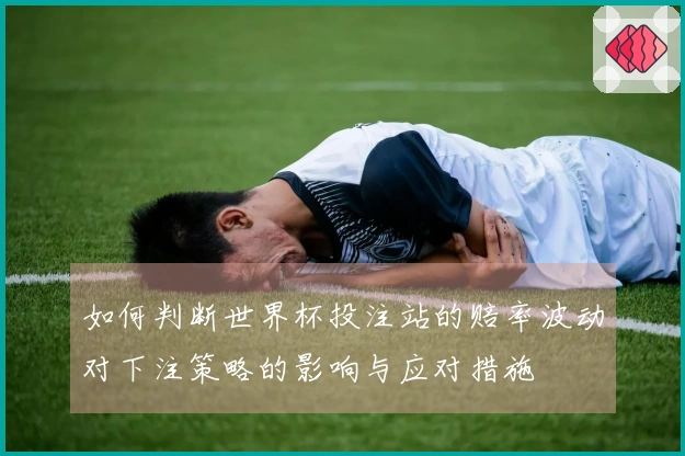 如何判断世界杯投注站的赔率波动对下注策略的影响与应对措施