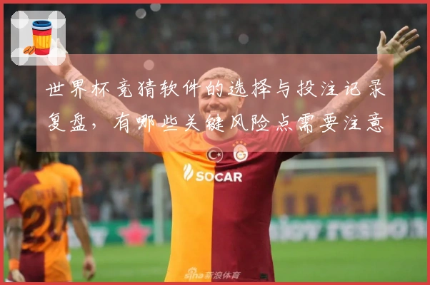 世界杯竞猜软件的选择与投注记录复盘，有哪些关键风险点需要注意？