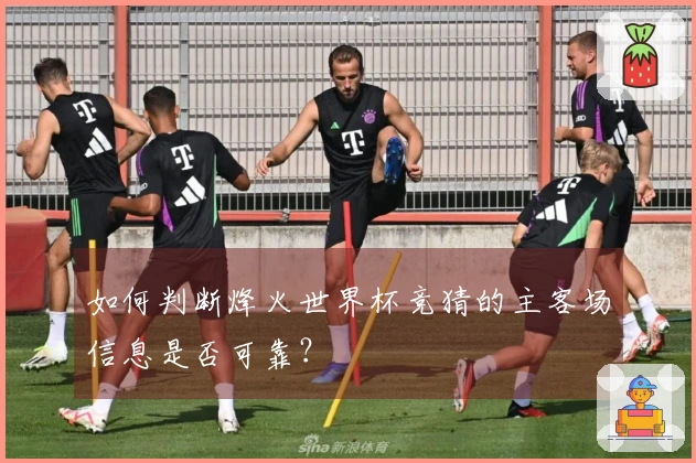 如何判断烽火世界杯竞猜的主客场信息是否可靠？