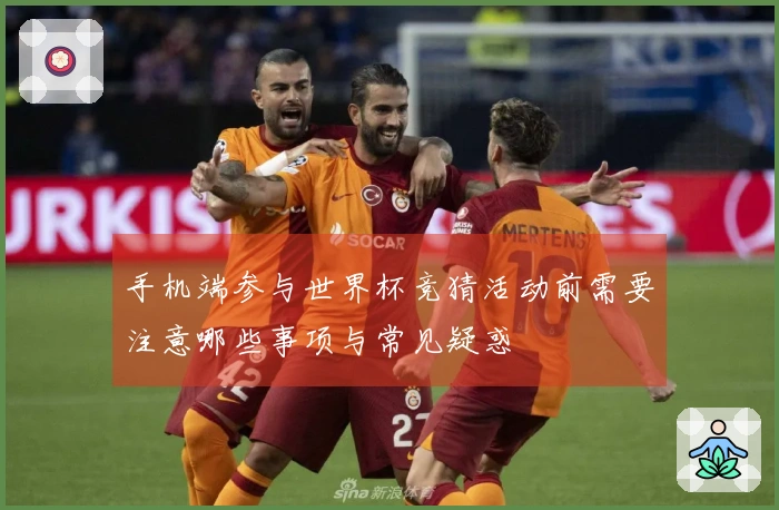 手机端参与世界杯竞猜活动前需要注意哪些事项与常见疑惑