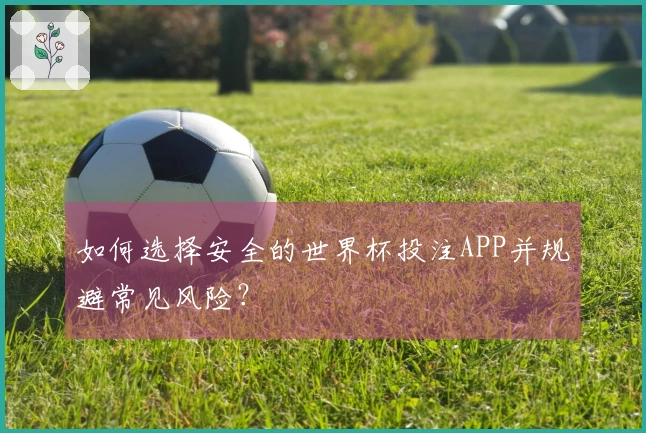 如何选择安全的世界杯投注APP并规避常见风险？