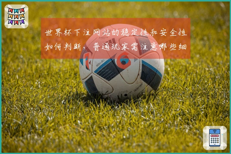 世界杯下注网站的稳定性和安全性如何判断，普通玩家需注意哪些细节
