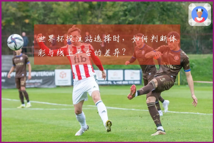 世界杯投注站选择时，如何判断体彩与线上平台的差异？