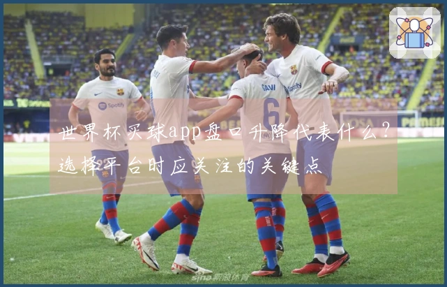 世界杯买球app盘口升降代表什么？选择平台时应关注的关键点