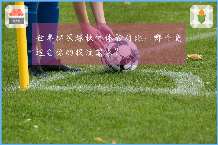 世界杯买球软件体验对比，哪个更适合你的投注需求？