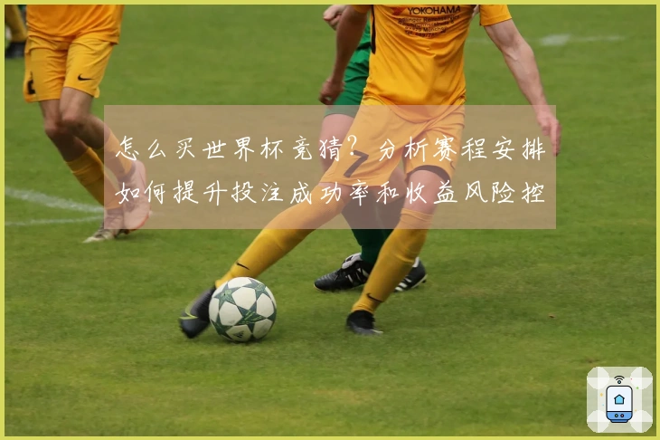 怎么买世界杯竞猜？分析赛程安排如何提升投注成功率和收益风险控制