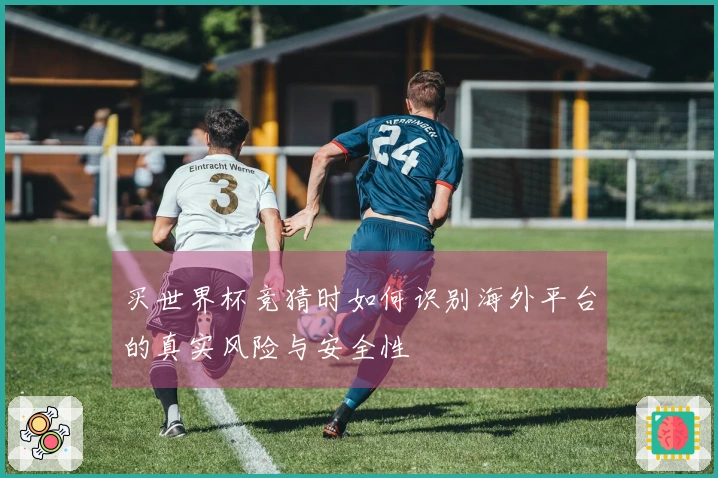 买世界杯竞猜时如何识别海外平台的真实风险与安全性