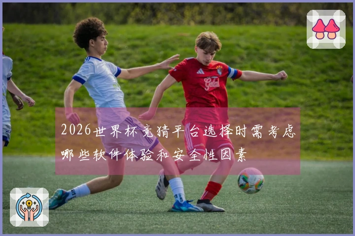 2026世界杯竞猜平台选择时需考虑哪些软件体验和安全性因素