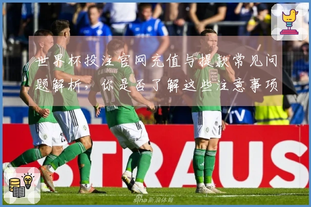 世界杯投注官网充值与提款常见问题解析，你是否了解这些注意事项？