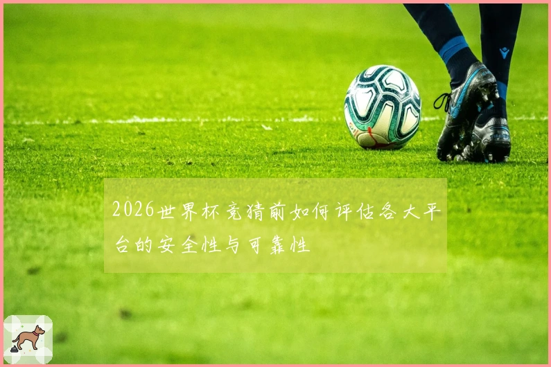 2026世界杯竞猜前如何评估各大平台的安全性与可靠性