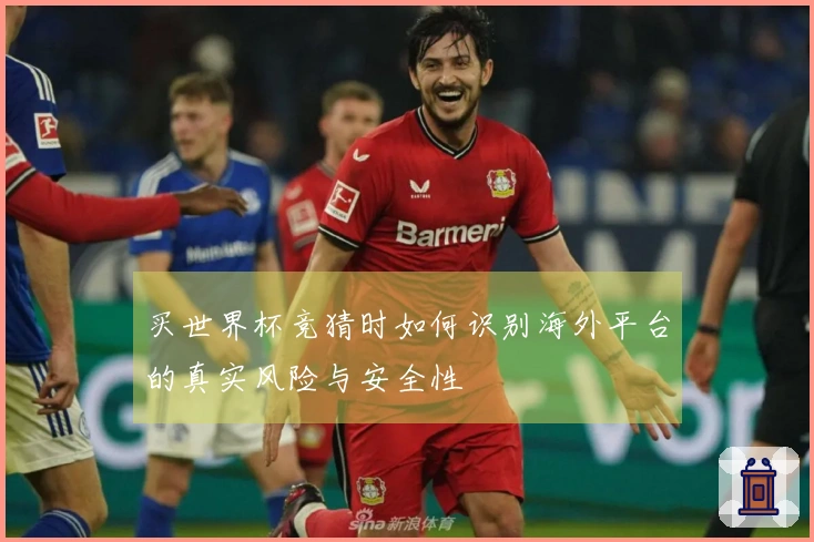买世界杯竞猜时如何识别海外平台的真实风险与安全性