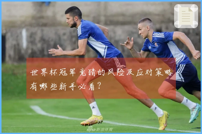 世界杯冠军竞猜的风险及应对策略有哪些新手必看？